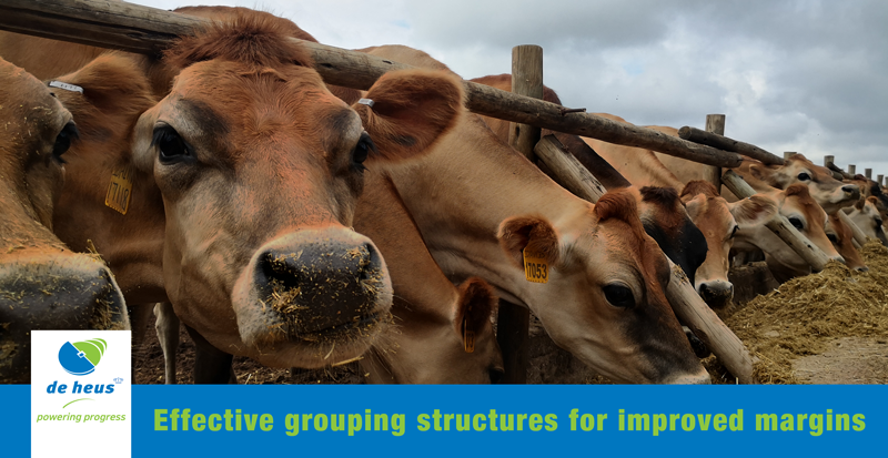 Effective grouping structures for improved margins